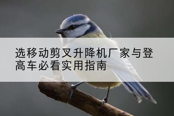 花山电动升降机厂家-选移动剪叉升降机厂家与登高车必看实用指南