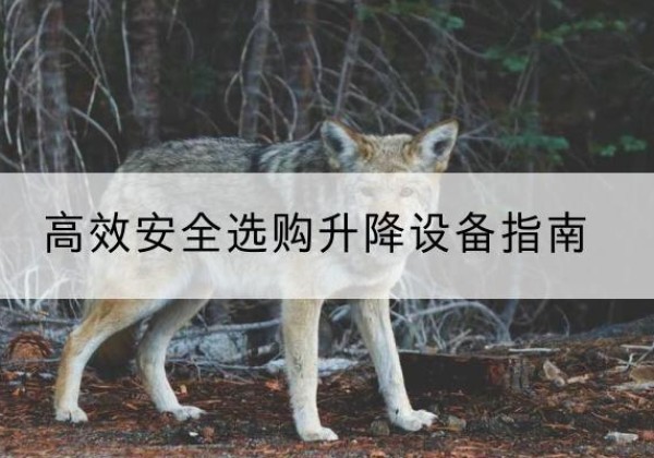 花山升降货梯厂家推荐-*安全选购升降设备指南